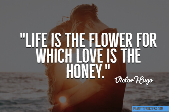 Love is the honey quote