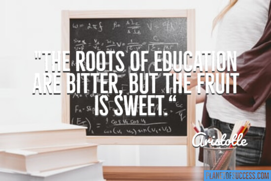 The roots of education