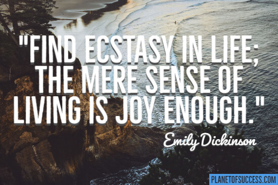 Find ecstasy in life