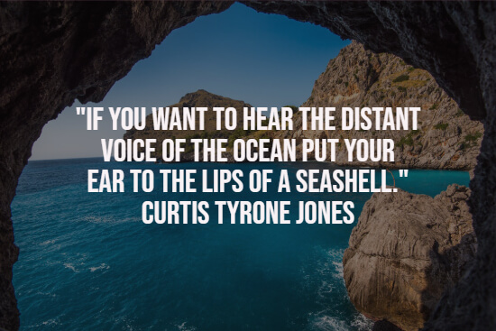 Quote about the ocean