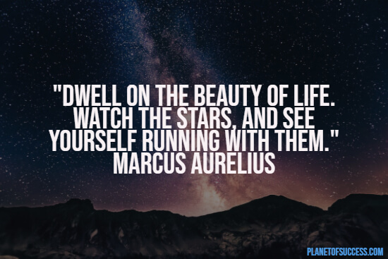 The beauty of life quote