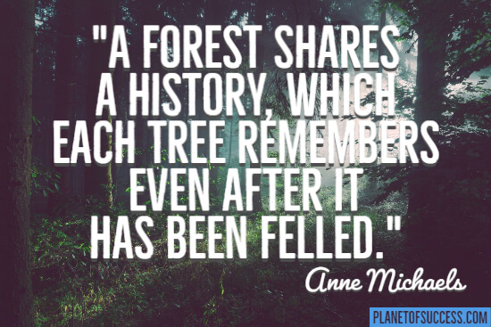 A forest shares a history quote