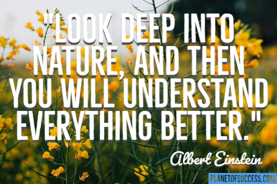 Look deep into nature quote