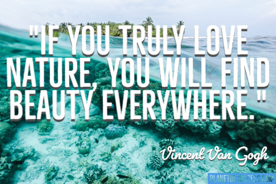 Find beauty everywhere quote